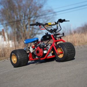 Honda Goldwing trike